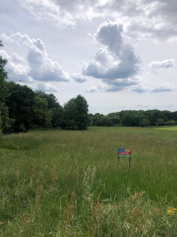 Terrain constructible 1 762,00 m² SAINT FRONT DE PRADOUX (24) - photo 4