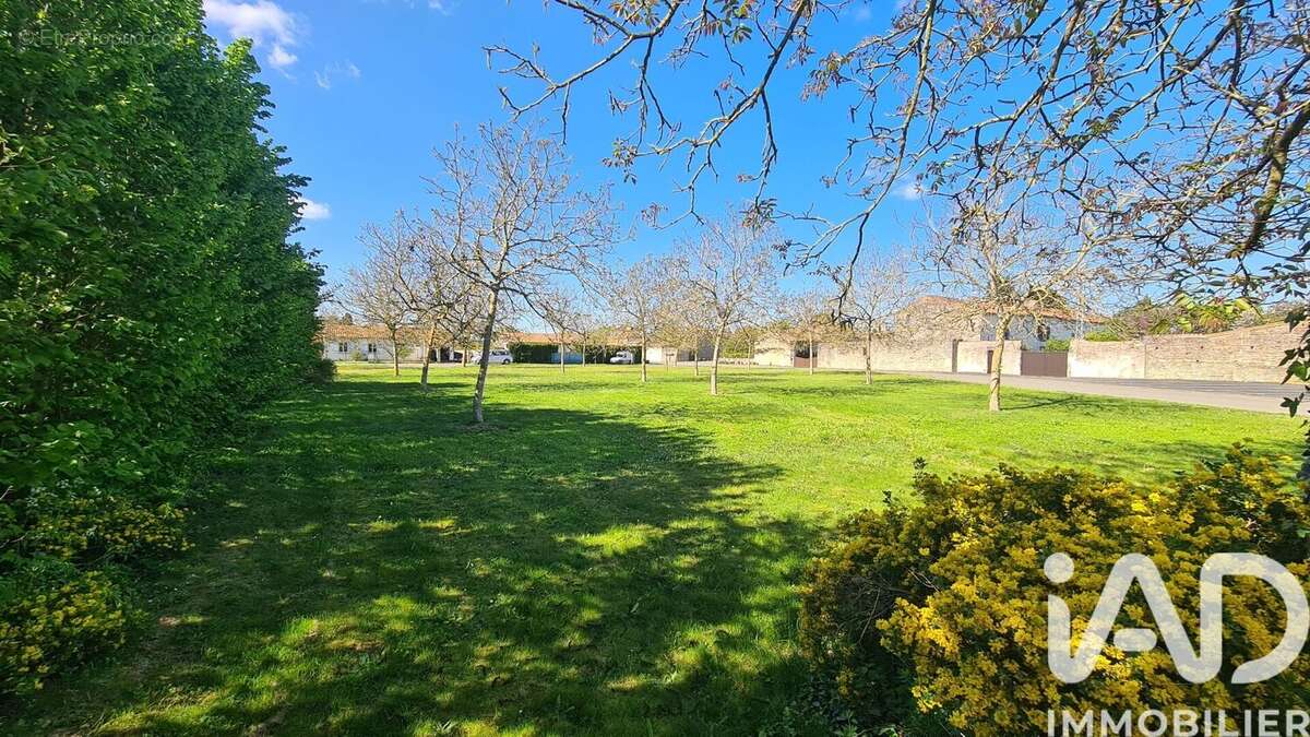 Photo 2 - Terrain à MASSOGNES