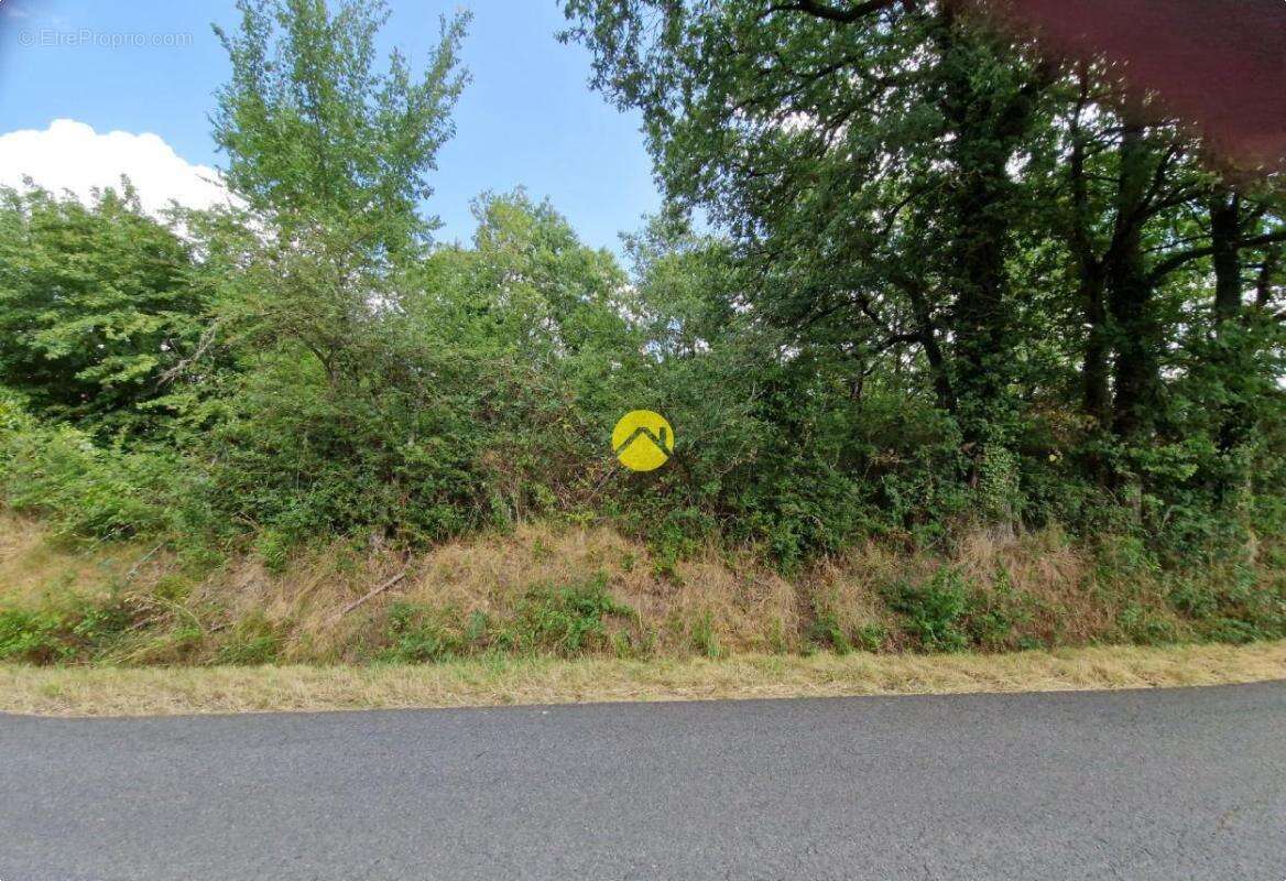 Terrain constructible de 2505 m² - photo 7