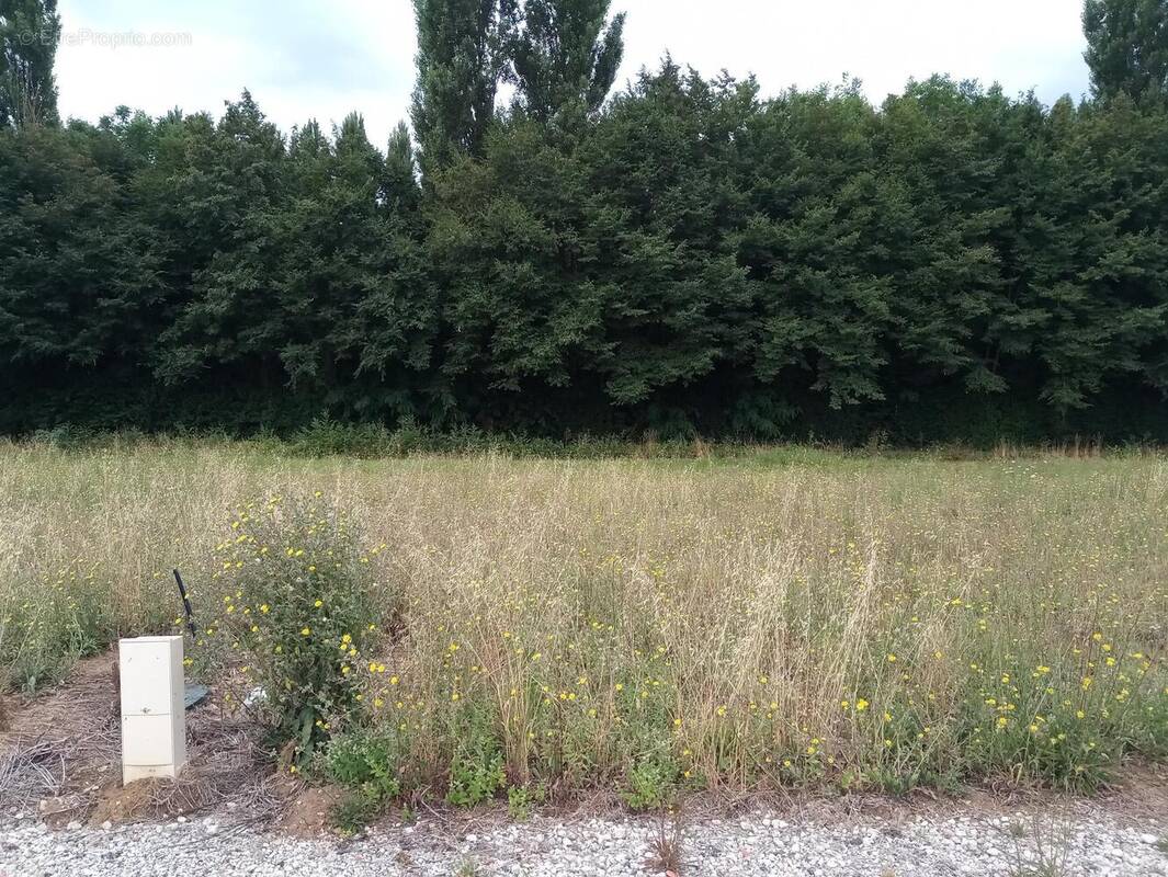 Photo 1 - Terrain à MONTPELLIER-DE-MEDILLAN