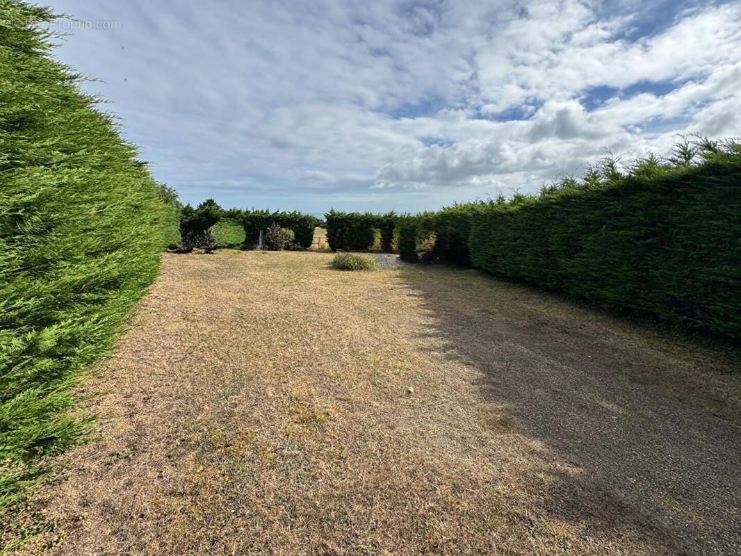 Terrain à ETABLES-SUR-MER