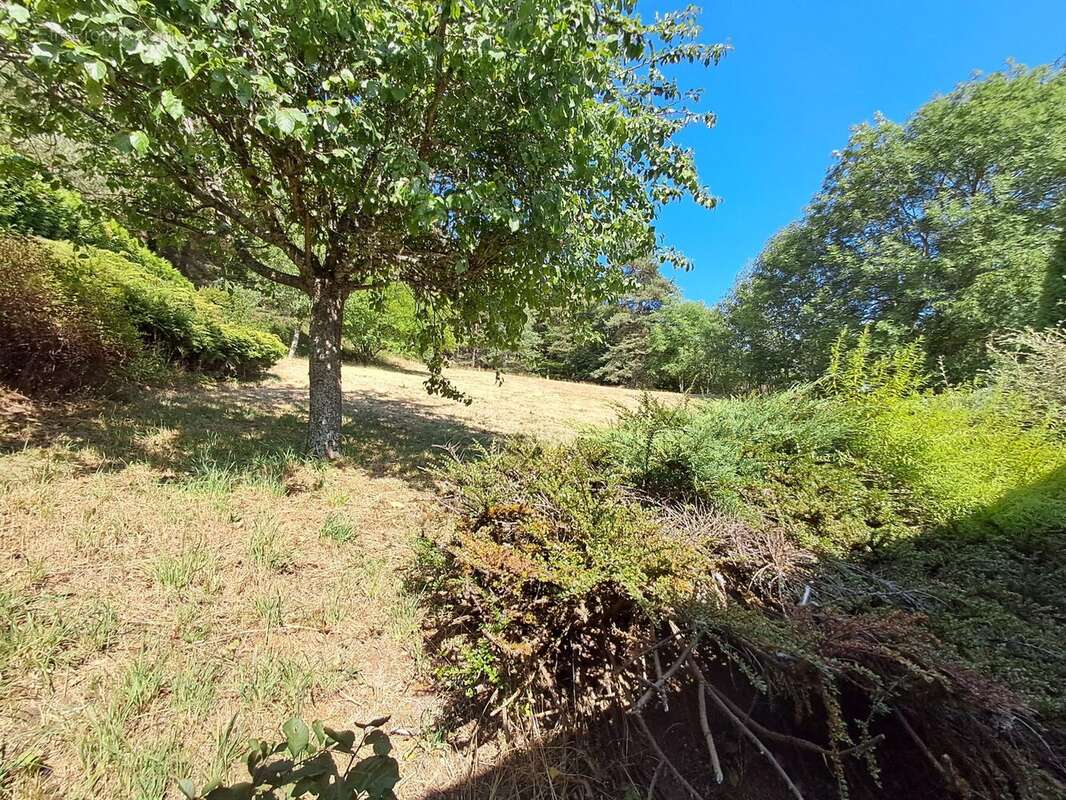 Maison 135 m² à Usson-En-Forez  - photo 4