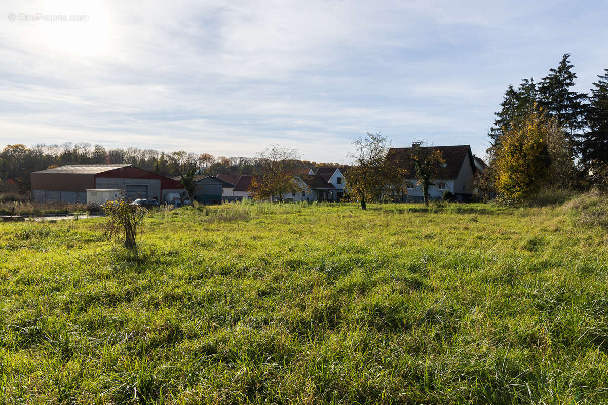 Terrain à OSTHOFFEN