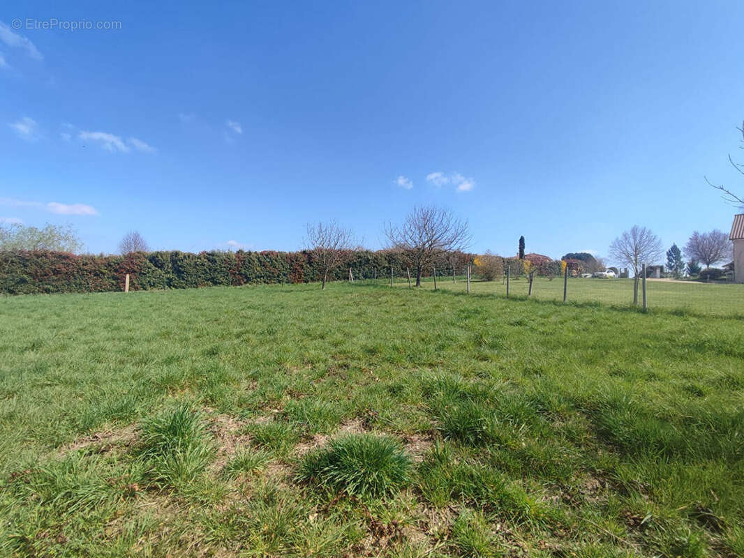 Terrain à BOSMIE-L&#039;AIGUILLE