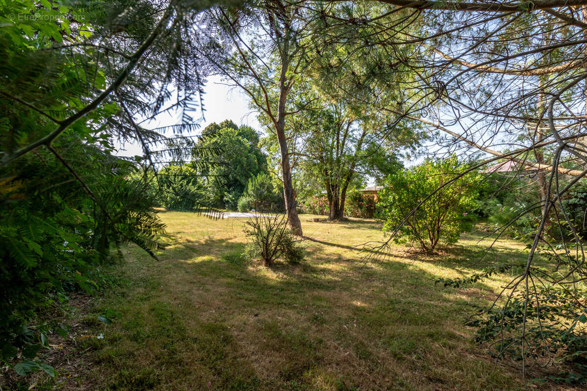 Terrain à CHANIERS
