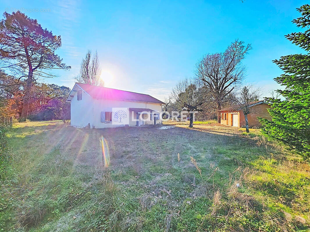 Maison à LABOUHEYRE