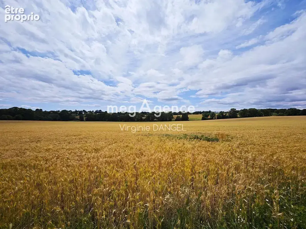 Maison contemporaine de 160 m² avec vue dégagée - photo 17