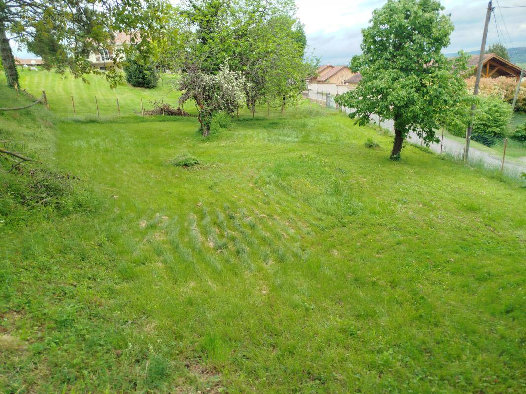 Terrain à MOISSIEU-SUR-DOLON