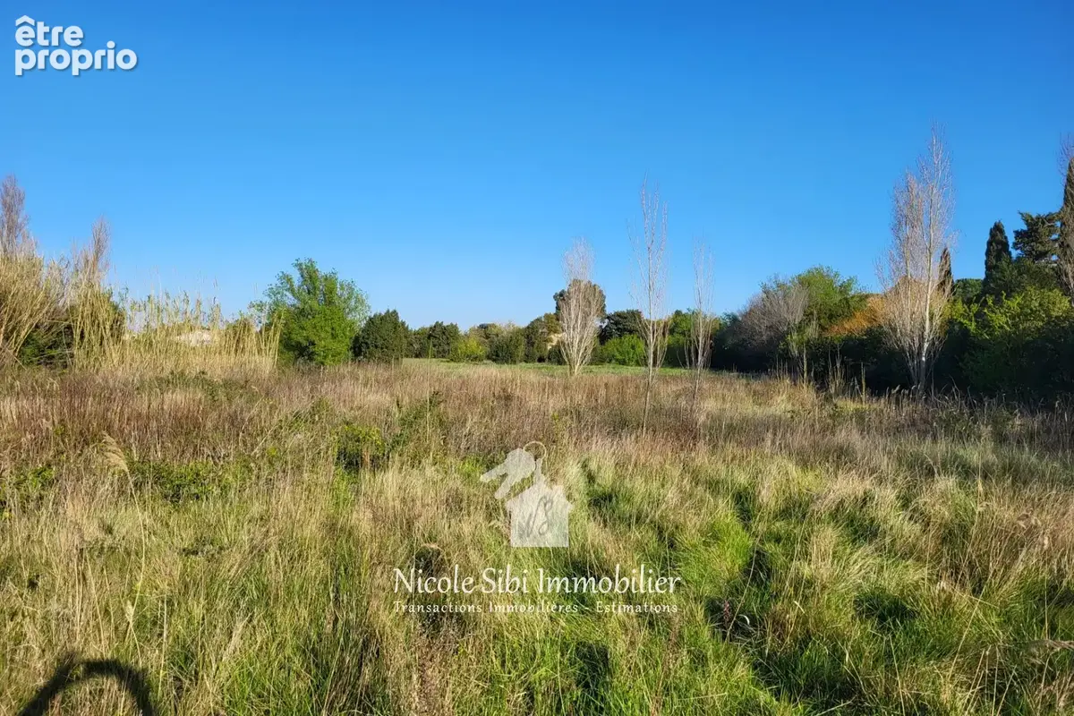 Terrain 1 600 m² à vendre à Saint-Hippolyte (66510) - photo 2