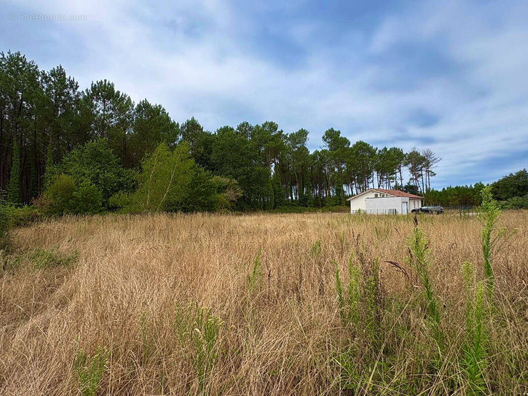 Terrain à RION-DES-LANDES