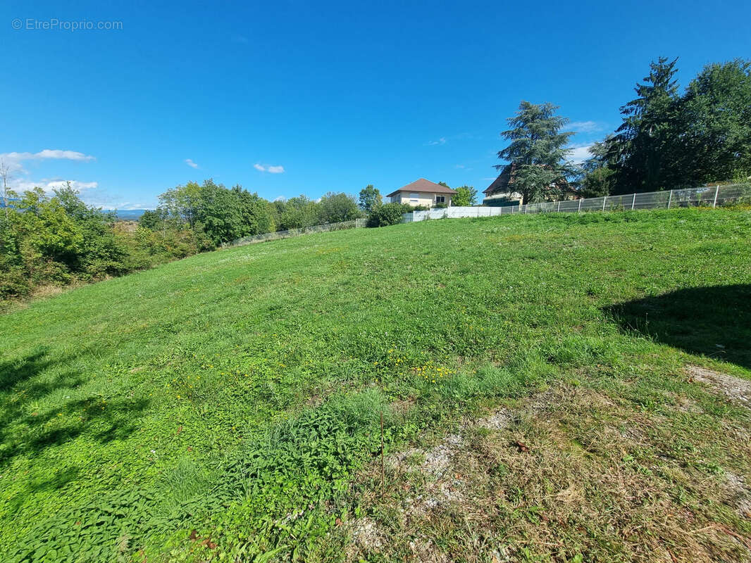 Terrain à BELLEY