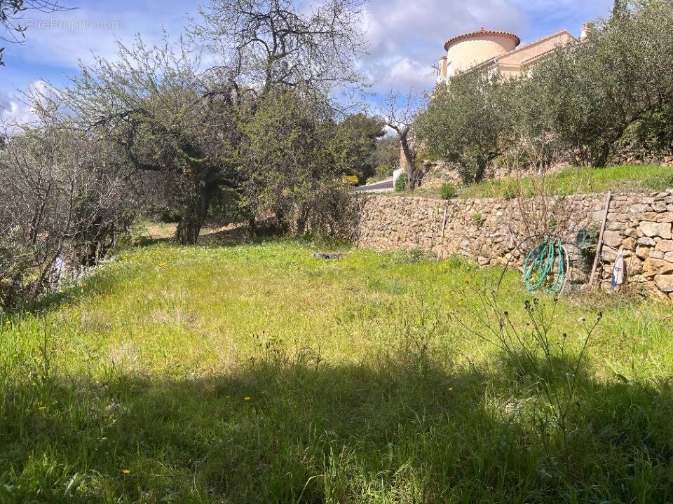 Terrain à CUERS