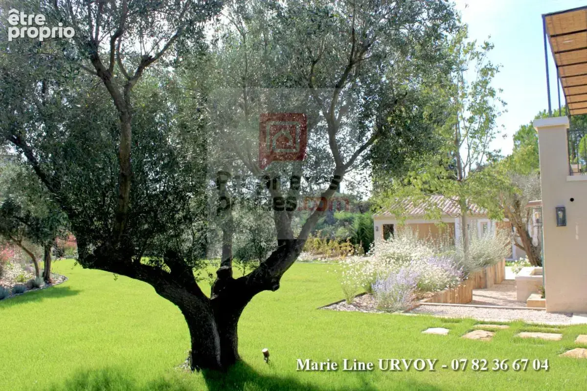 Propriété de charme au coeur des alpilles - 5 suites  - piscine - jardin paysage de plus de 2 000 m² - photo 7