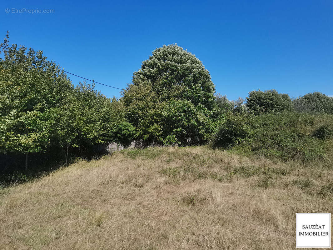 Terrain à MAGNAC-BOURG