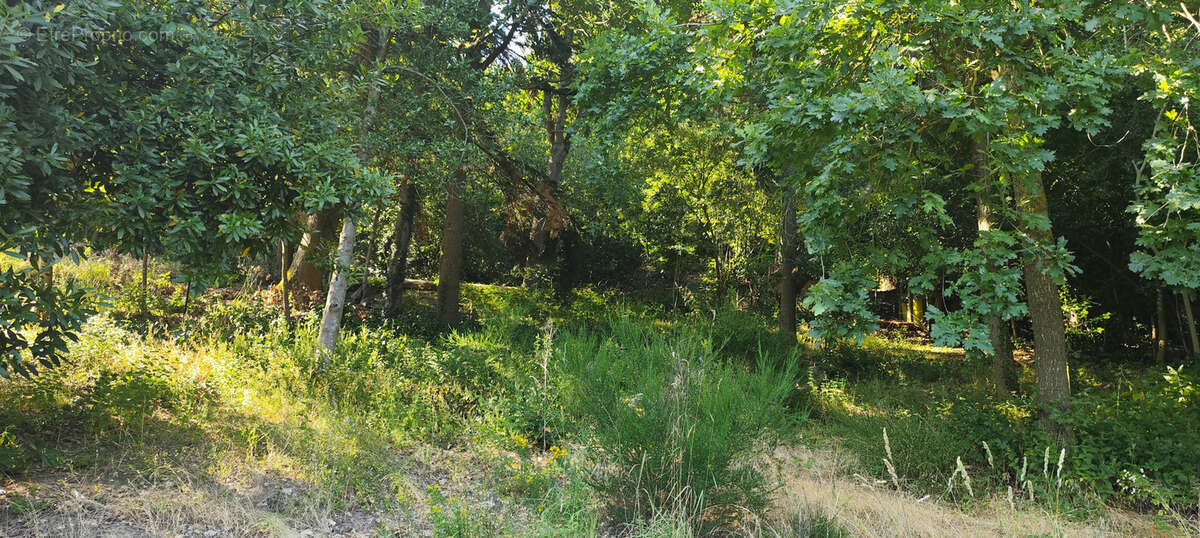Terrain à bâtir Saulx les Chartreux - photo 3