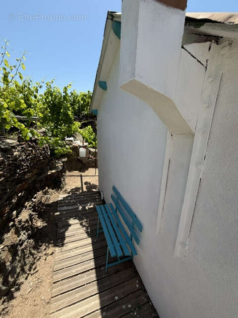 Terrain à COLLIOURE