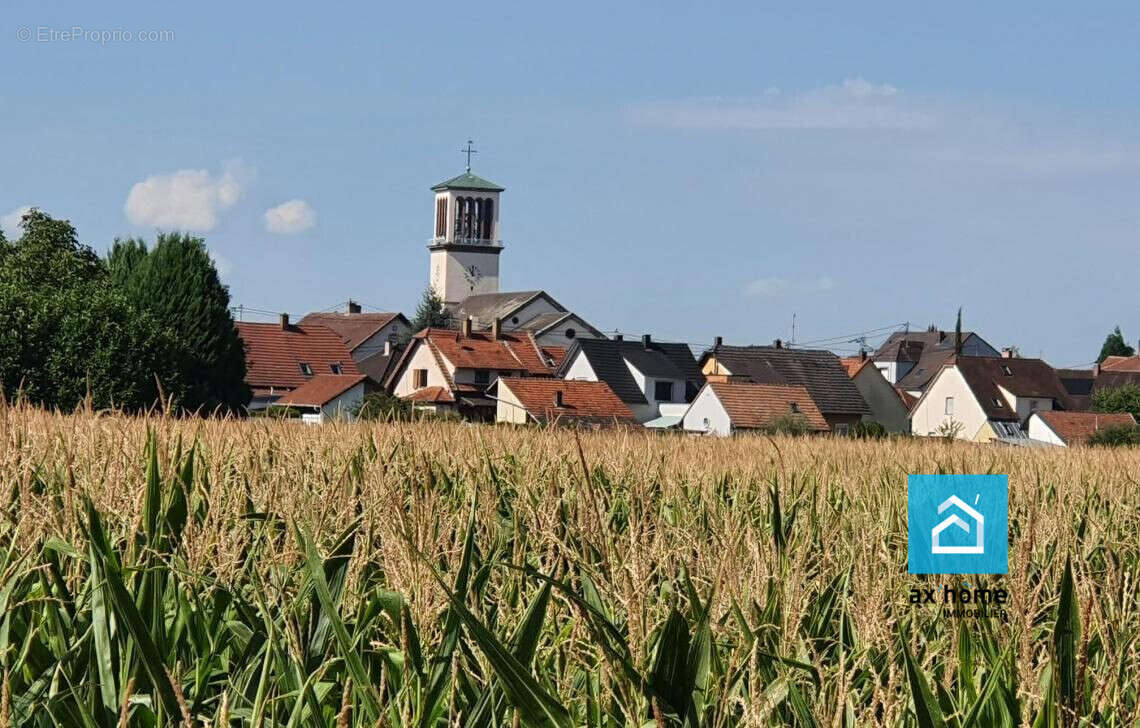 Appartement à LA WANTZENAU