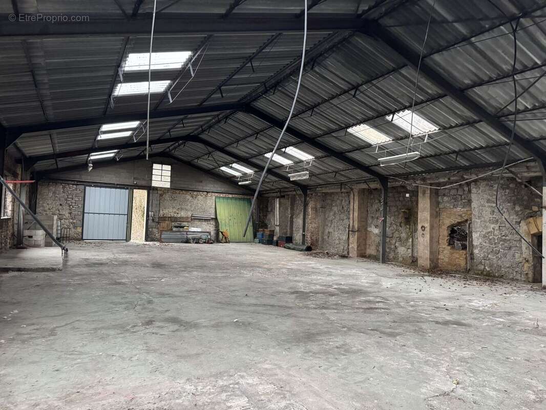 IMG1631 - Maison à SAINT-CYPRIEN