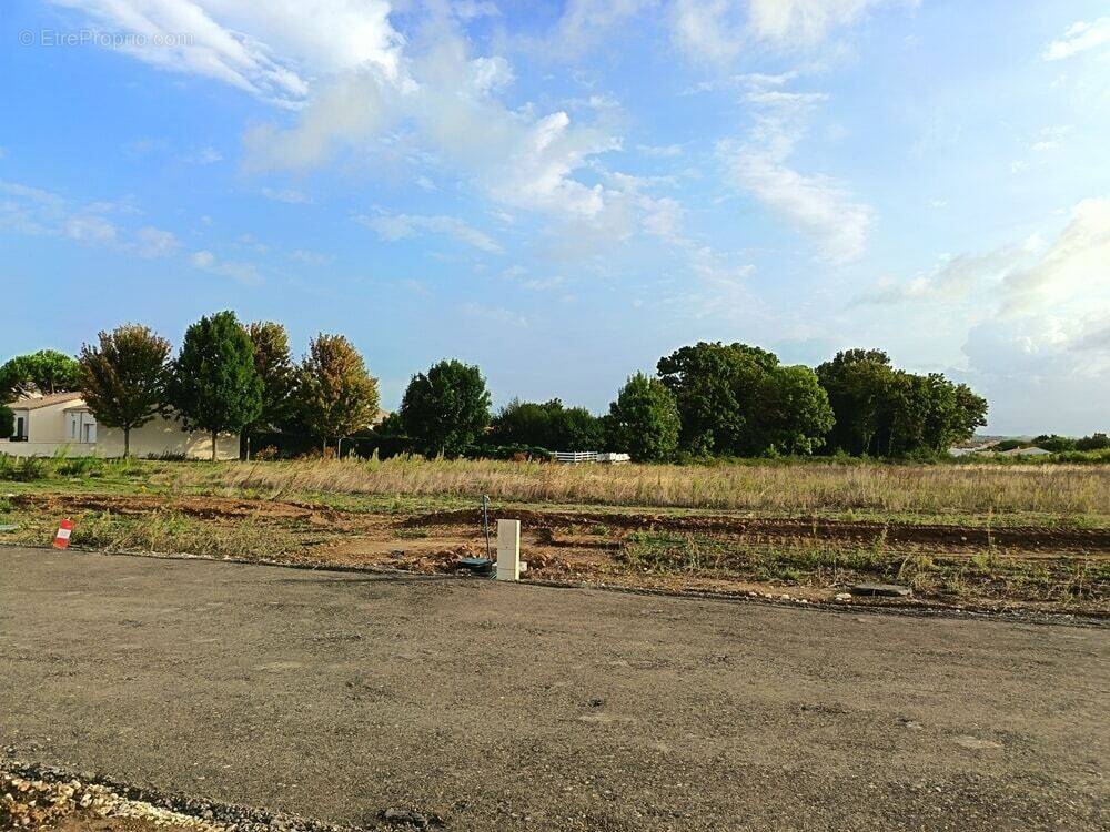 Terrain à PORT-DES-BARQUES