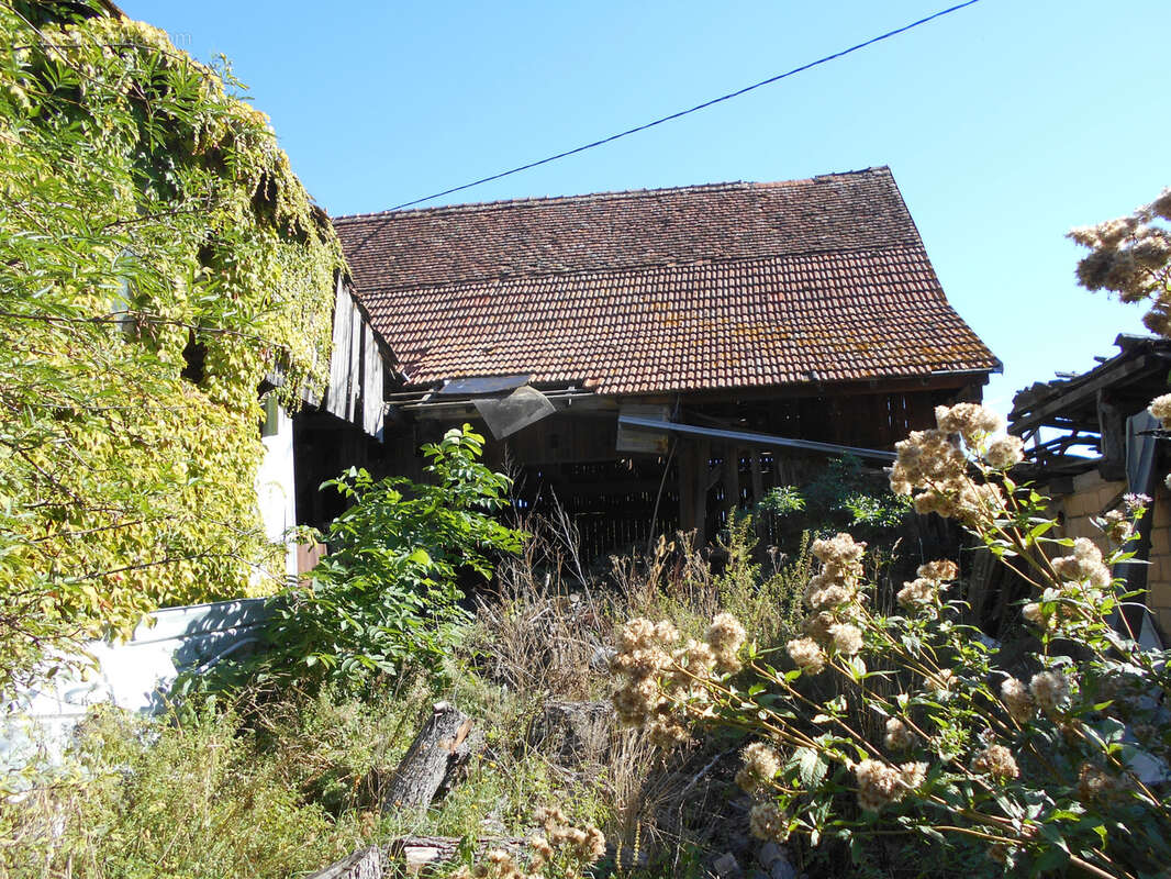 Maison à LANDERSHEIM