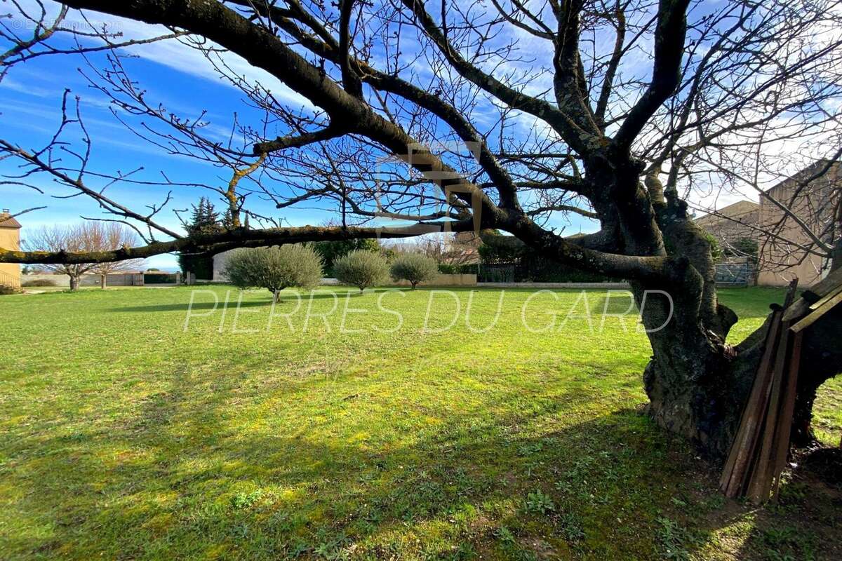 Terrain à SAINT-VICTOR-LA-COSTE