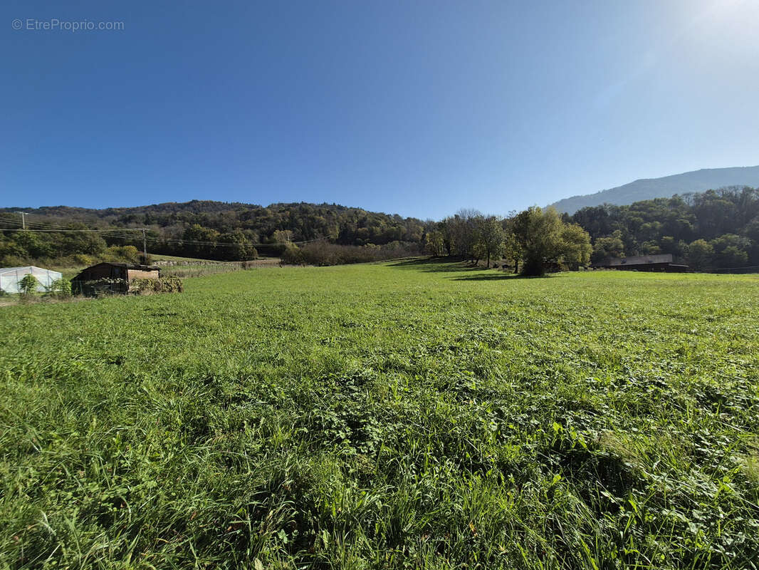 Terrain à LA CHAPELLE-BLANCHE