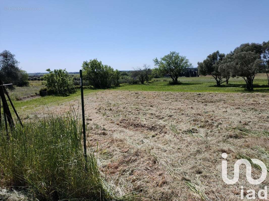 Photo 6 - Terrain à VALROS