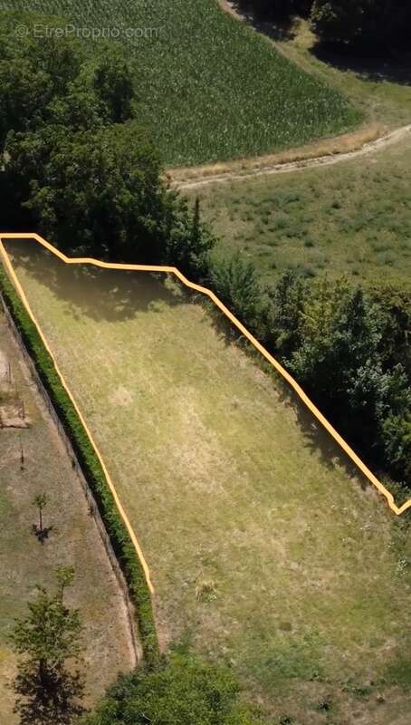Propriété 7 pièces d'exception 380m2 avec terrain à construire 1000M2 sur les hauteurs de Collonges-sous-Salève – Calme, Vue Jur - photo 23