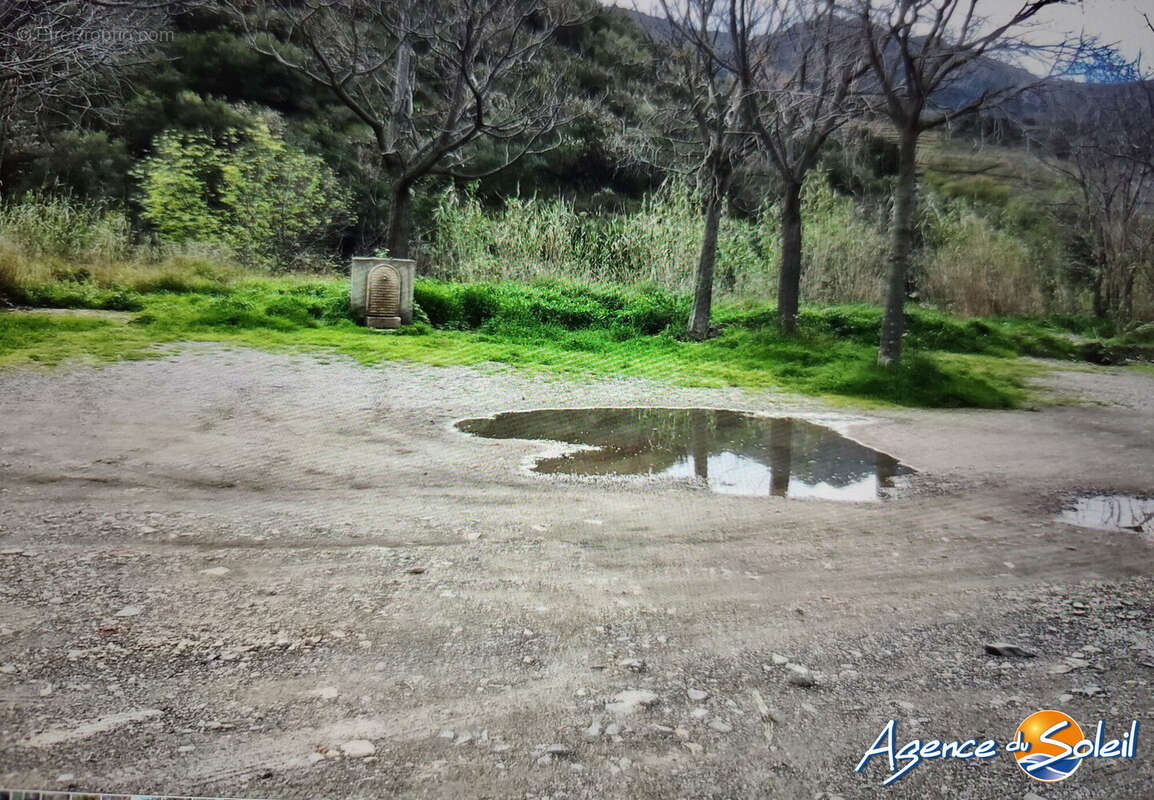 Terrain 4000 m² à Banyuls-Sur-Mer  - photo 4