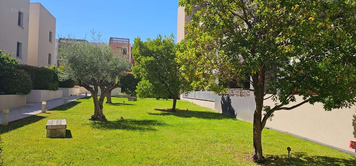 SAINT JEAN DE VEDAS (34) F3 avec grande terrasse et parking en sous-sol - photo 15