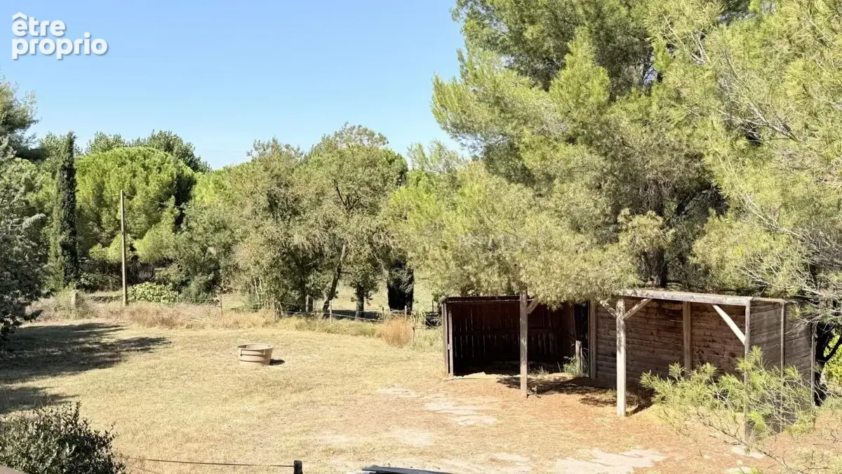 Bassin de Thau - charmante propriété sur 4,5 hectares - photo 10