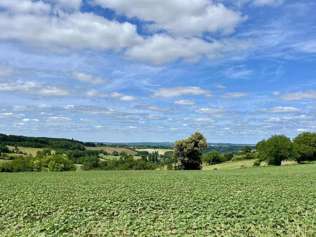 Belle maison périgourdine avec vue dégagée, grand jardin et prestations de qualité! - photo 16