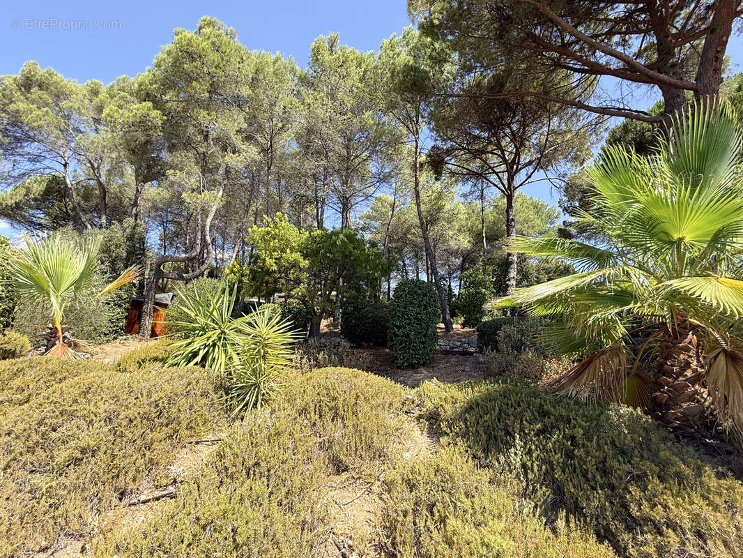 EXCLUSIVITE Bagnols en Foret Villa individuelle 4 pièce(s) 110m2 env Terrain 2500m2 env Piscine Garage - photo 18