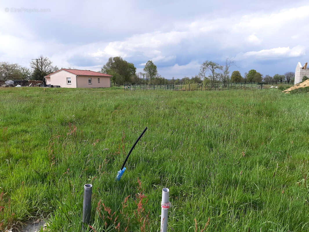 Terrain à SAINT-BENIGNE