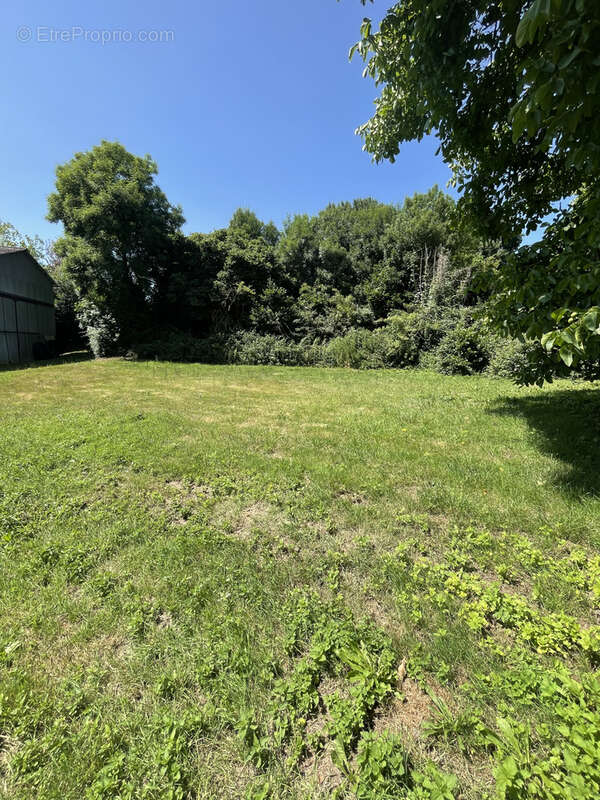 Terrain à VAILLY-SUR-SAULDRE