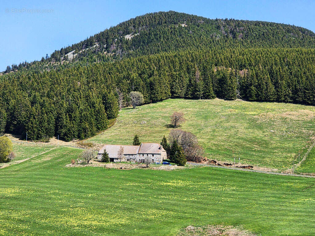 Belle ferme en pierre indépendante proche du Béage - photo 11