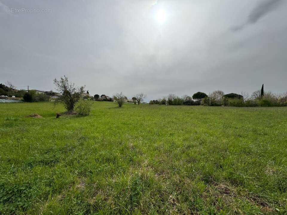 Terrain à MONTPITOL