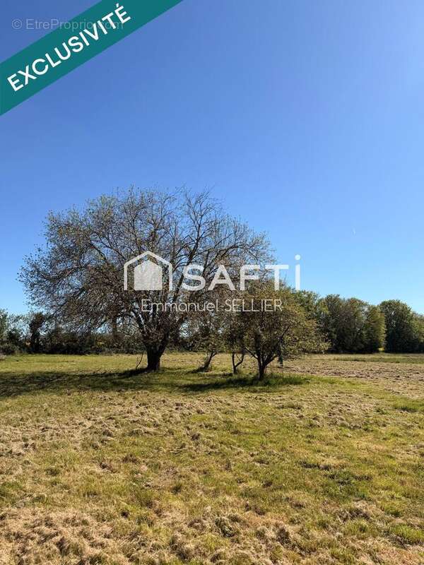 Photo 4 - Terrain à NEUVY-PAILLOUX