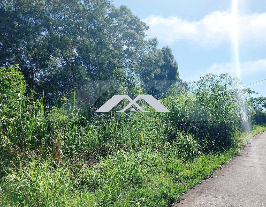 Maison à SAINT-PAUL