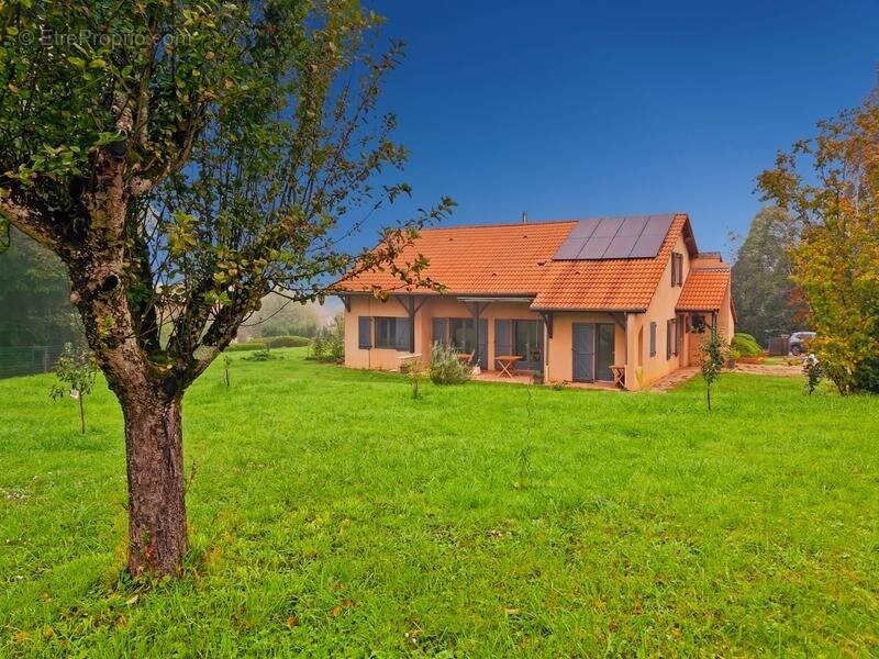 Maison à SAINT-AMOUR