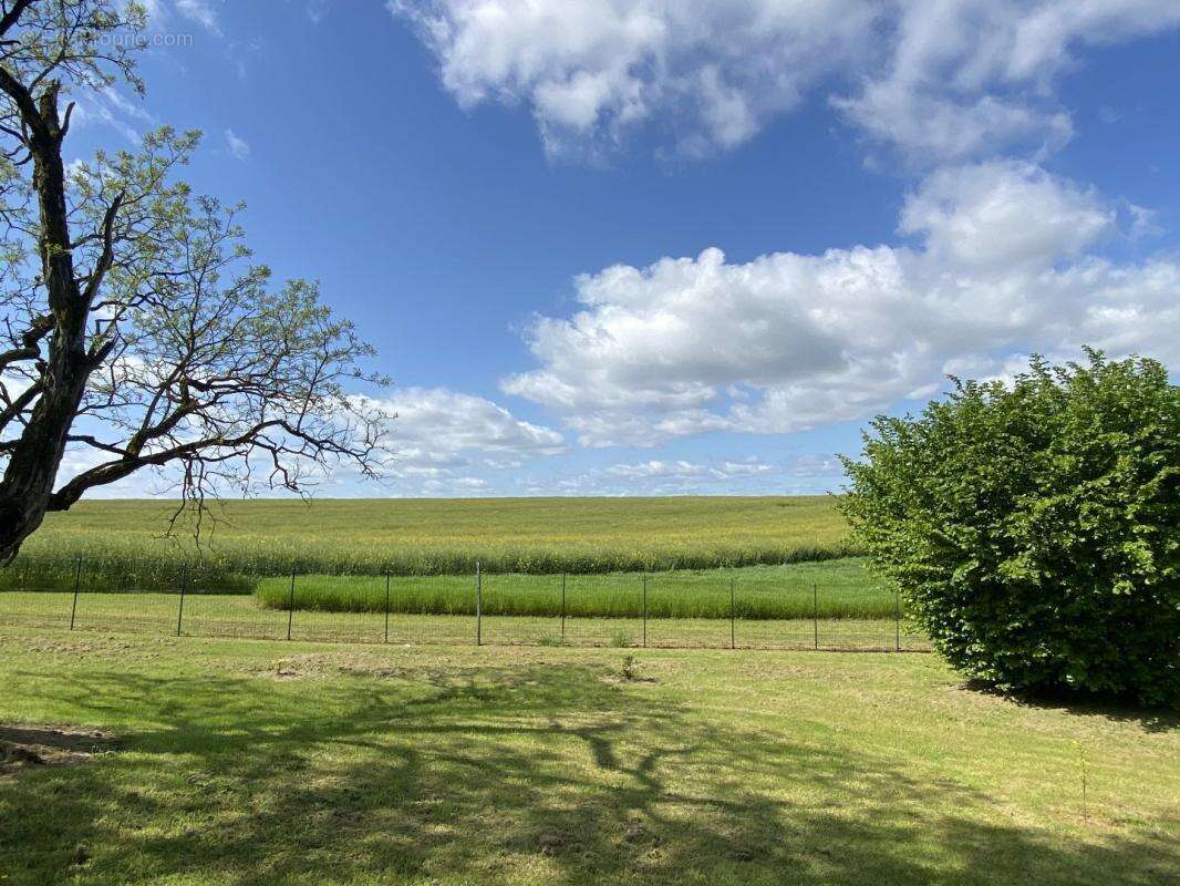 Maison à VILLEBOIS-LAVALETTE