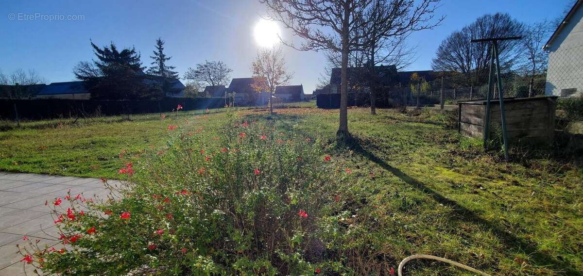 Photo 6 - Maison à MONTLOUIS-SUR-LOIRE