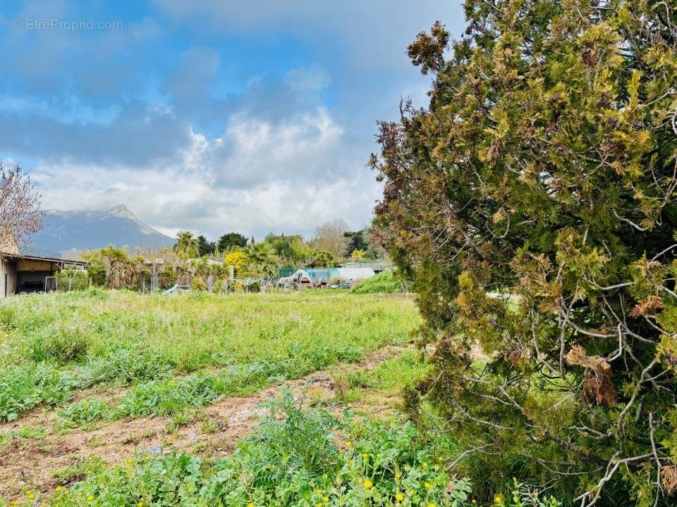 Terrain à LE PRADET