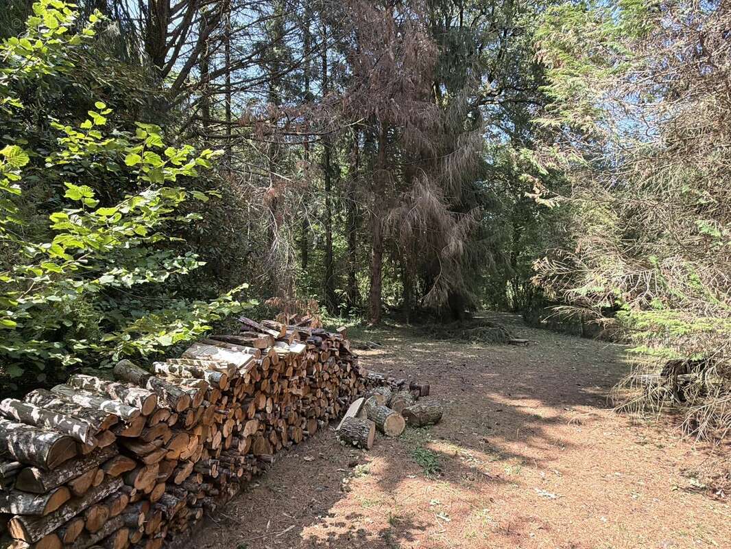 Pavillon indépendant au bord d'un ruisseau, niché dans un cadre boisé paisible - photo 11