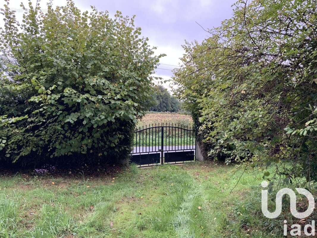 Photo 3 - Maison à NOUZERINES