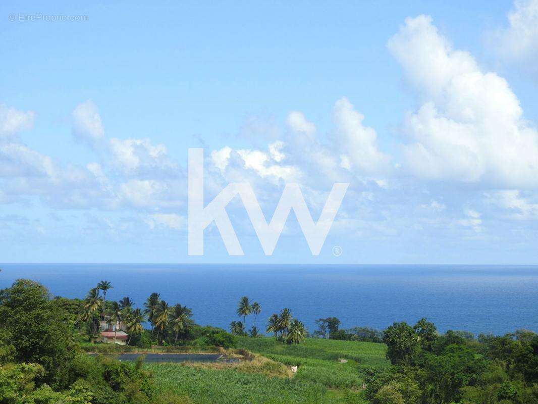 Terrain à BASSE-POINTE