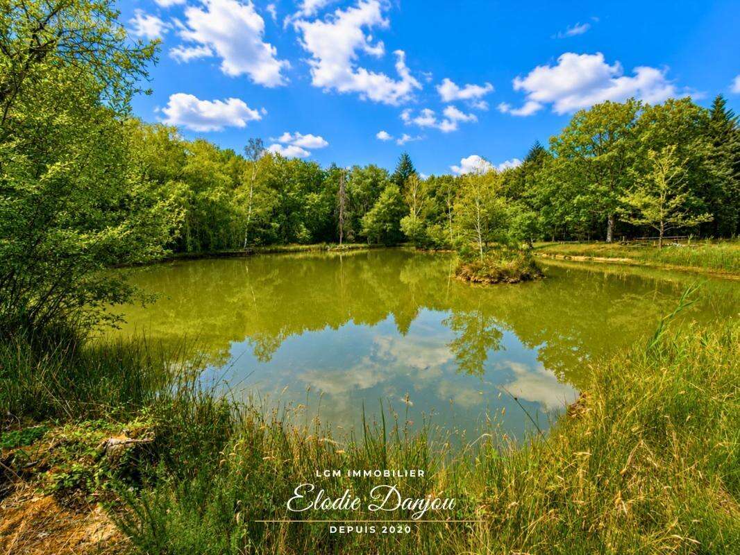 Terrain de loisirs avec étang sur près de 2 hectares - Mur-de-Sologne - photo 3