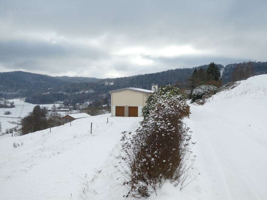 RUPT SUR MOSELLE (88)A vendre propriété T 10 pièces de 195m² sur sous sol + 4 box à chevaux +rucher, terrain 3.6 hectares - photo 4