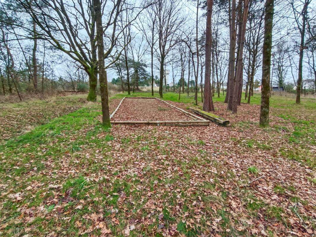 Terrain de loisir - photo 7