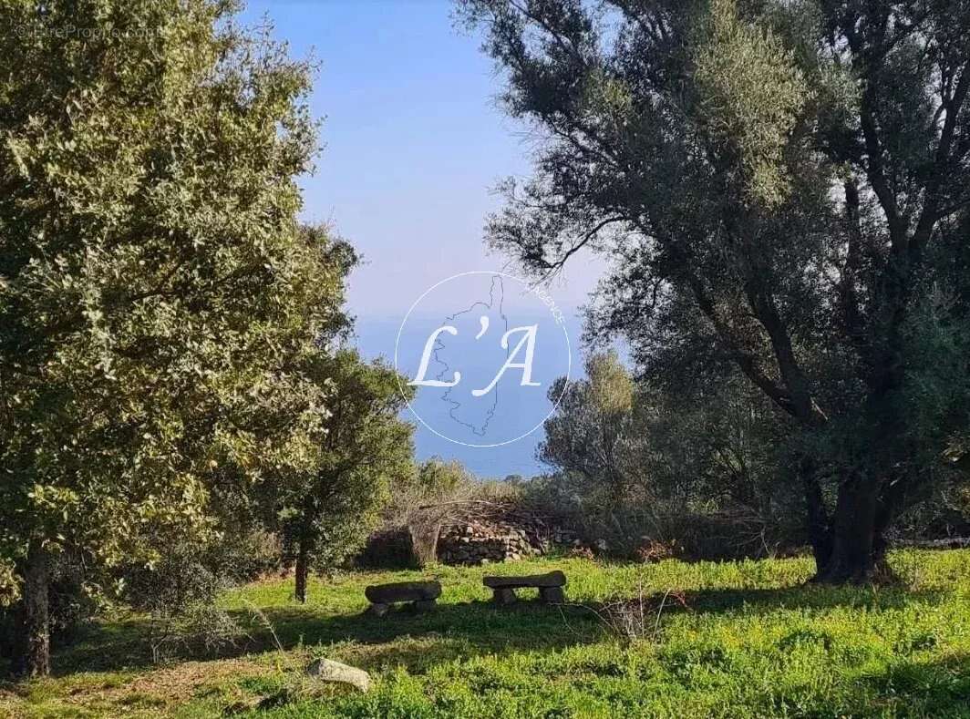 Maison à SARI-SOLENZARA